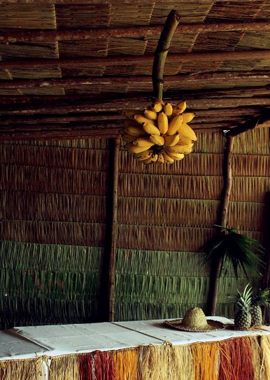 A bunch of bananas in a woven straw hut