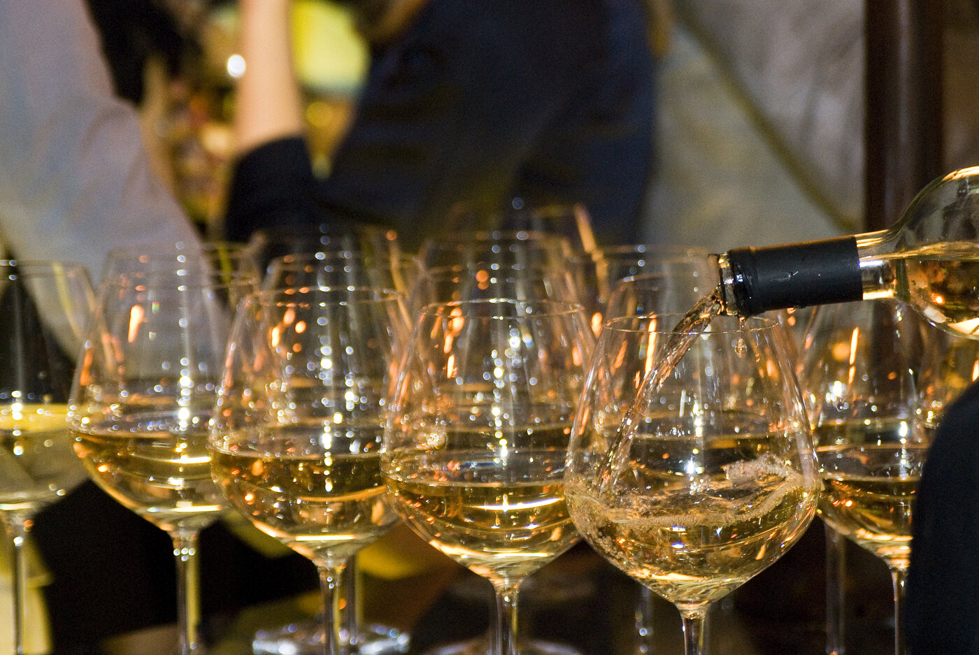 Soraya Sone event — Cocktail Reception